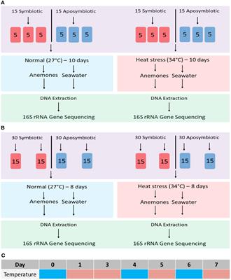 Changes in the microbiome of the sea anemone Exaiptasia diaphana during bleaching from short-term thermal elevation